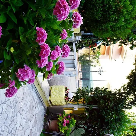 New Cirene For 4 People Half Pensionat Rimini